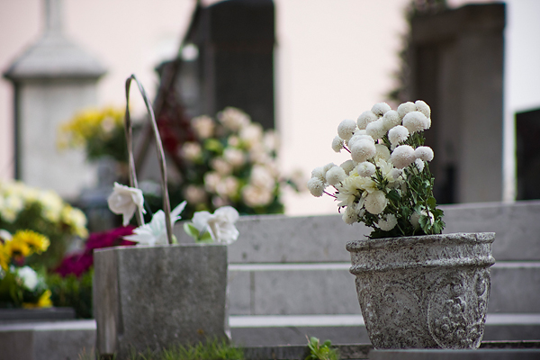 Gradsko groblje uoči blagdana Svih svetih (foto:Saša Čuka) Gradsko groblje uoči blagdana Svih svetih (foto:Saša Čuka)