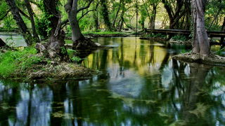 Nedjeljni izlet u Nacionalni park Krka Nedjeljni izlet u Nacionalni park Krka