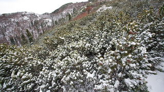 Đir do vrha Zečjak na sjevernom Velebitu, Foto: Leo Banić