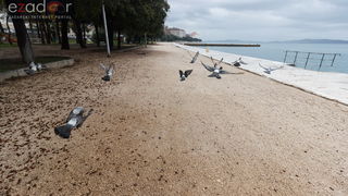 Đir po gradu, srijeda 13. prosinca 2017.