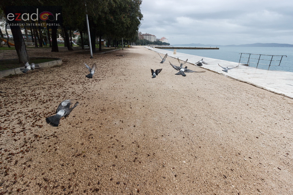 Đir po gradu, srijeda 13. prosinca 2017.