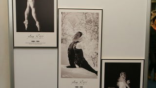 Otvorenje izložbe o Ani Roje Otvorenje izložbe o Ani Roje