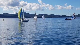 Zadarska Koka 2016. 22. listopada 2016. Foto: Mladen Malik Zadarska Koka 2016. 22. listopada 2016. Foto: Mladen Malik