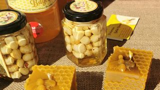 Posjetili smo manifestaciju Jesen u Lici Posjetili smo manifestaciju Jesen u Lici