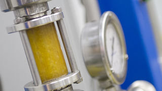 Večer u uljari, Foto: Leo Banić