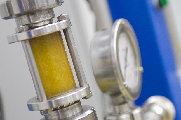 Večer u uljari, Foto: Leo Banić