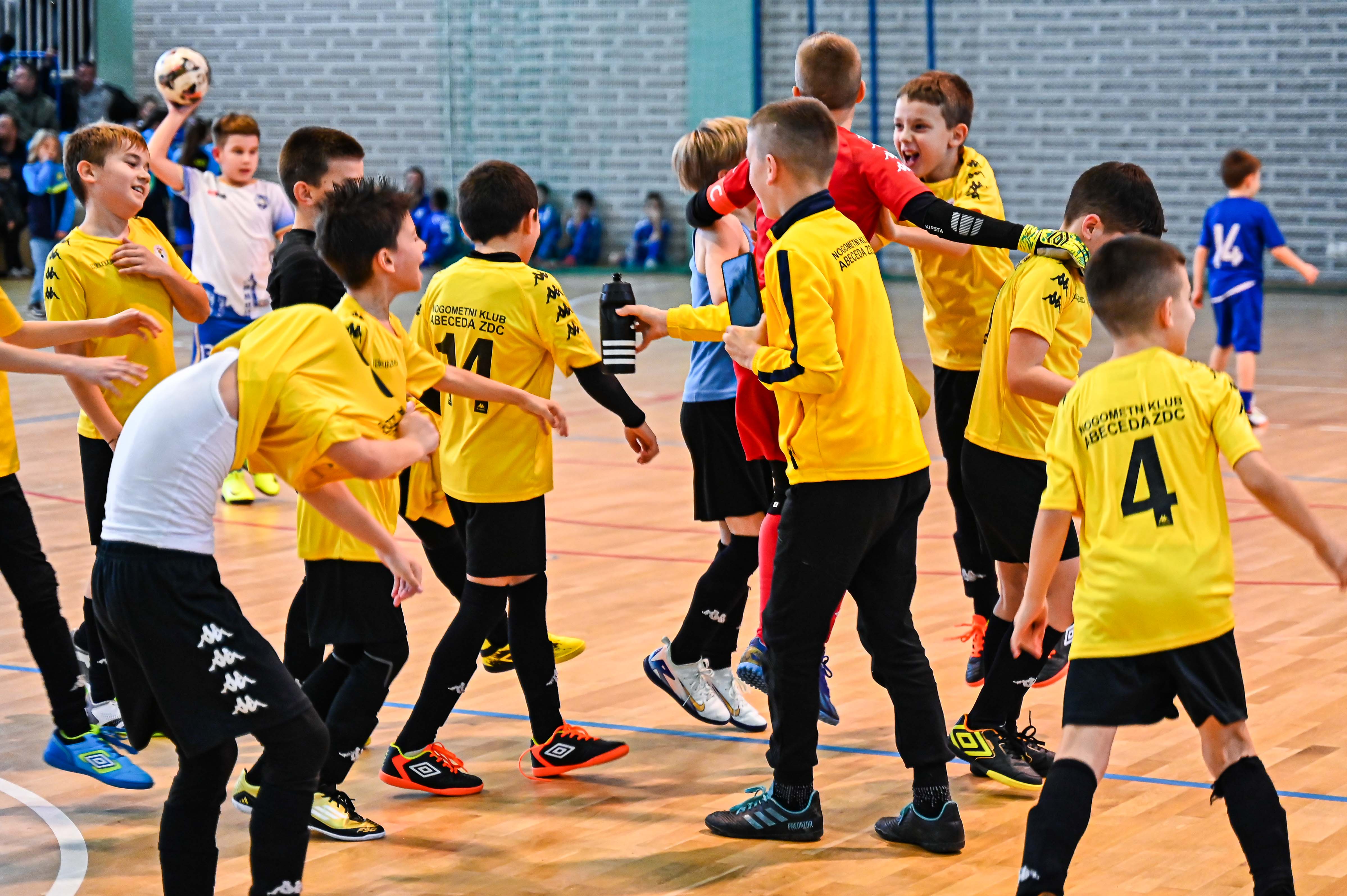 1.Cateleya indoor Cup 1.Cateleya indoor Cup