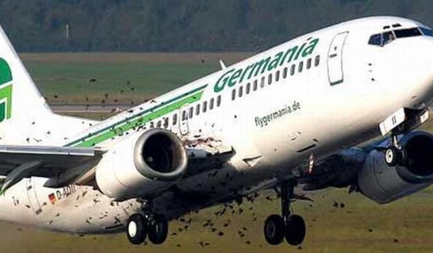 Boeing 737 prisilno sletio zbog ulijetanja jata ptica u motore (Foto: Bild)