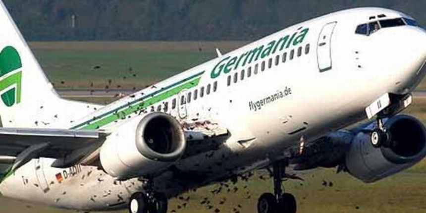 Boeing 737 prisilno sletio zbog ulijetanja jata ptica u motore (Foto: Bild) Boeing 737 prisilno sletio zbog ulijetanja jata ptica u motore (Foto: Bild)