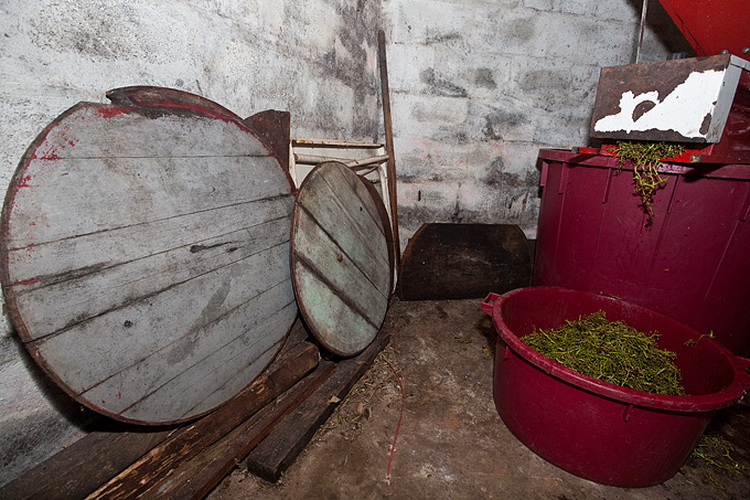 Priča o vinu: Od trsa do bačve, Foto: Leo Banić