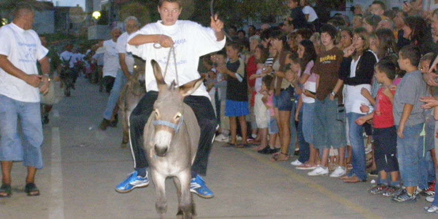 OLYMPUS DIGITAL CAMERA OLYMPUS DIGITAL CAMERA