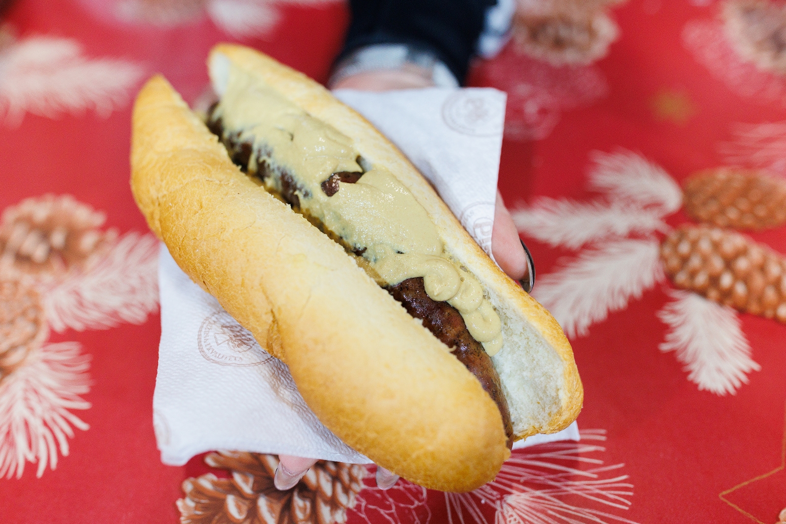 Gastro ponuda Advent Zadar Gastro ponuda Advent Zadar