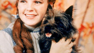 Legendarni filmski kostimi