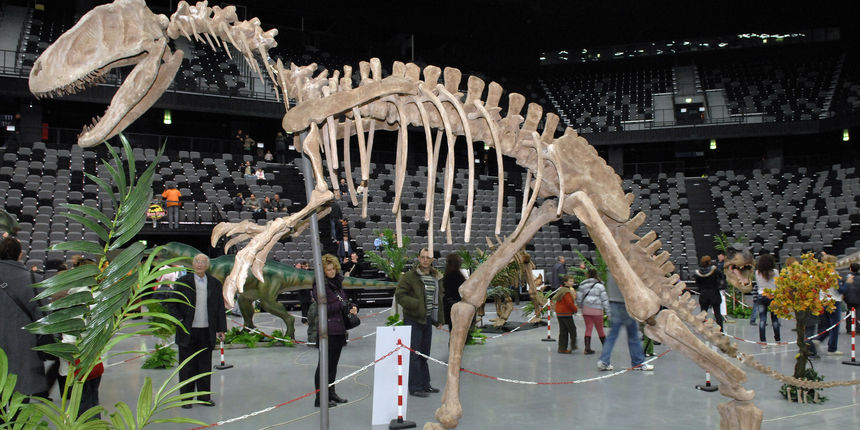 Dinosauri u Splitu (foto: J.Babić CROPIX) Dinosauri u Splitu (foto: J.Babić CROPIX)