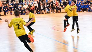 1.Cateleya indoor Cup 1.Cateleya indoor Cup
