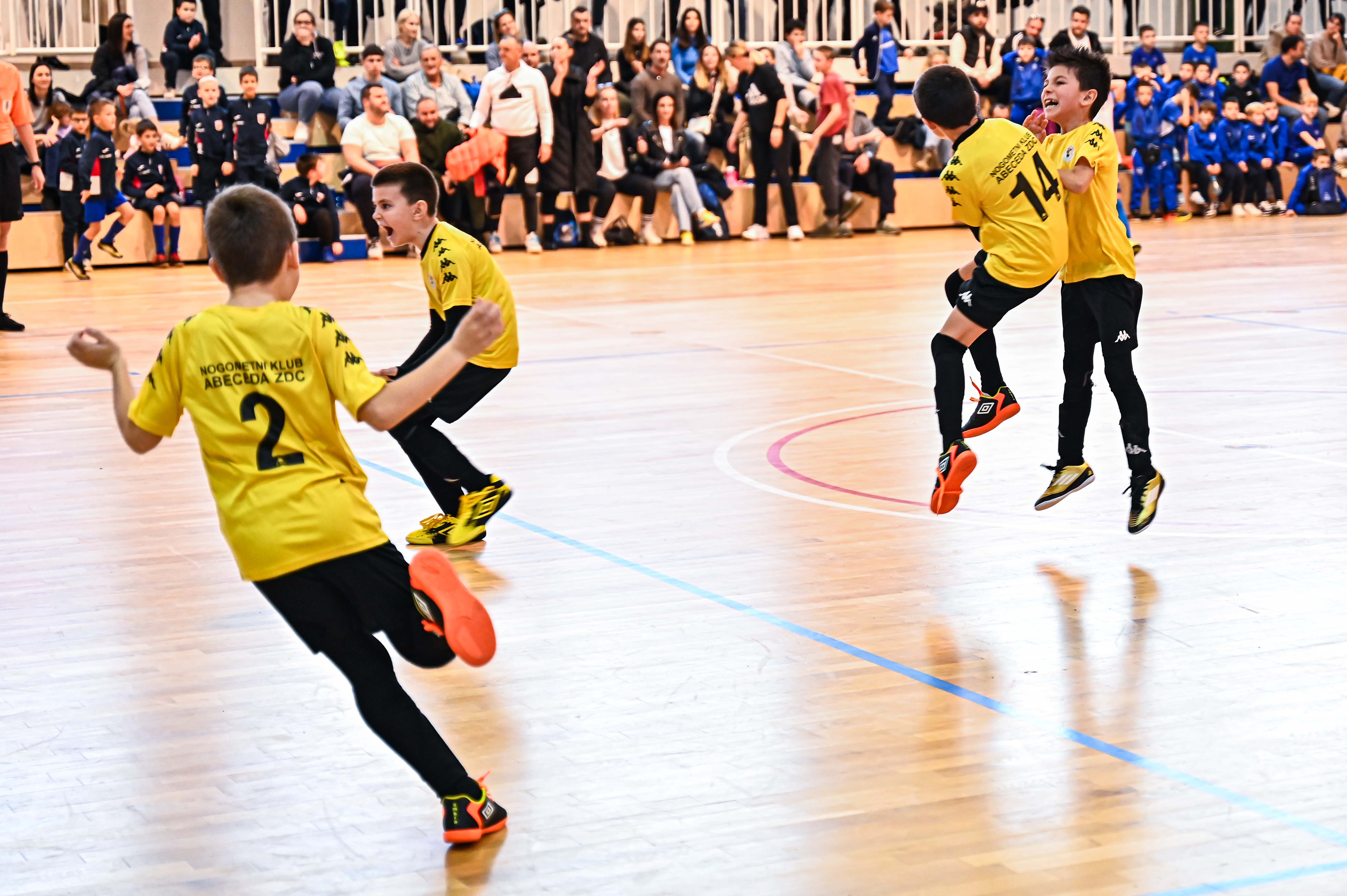 1.Cateleya indoor Cup 1.Cateleya indoor Cup