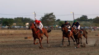 Polaca, utrke konja Oluja 95 Polaca, utrke konja Oluja 95