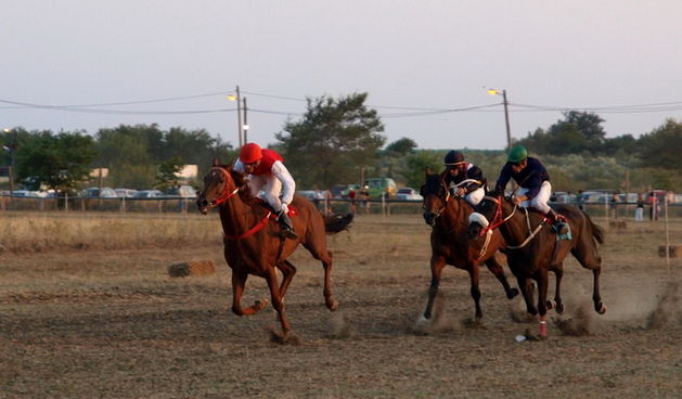 Polaca, utrke konja Oluja 95