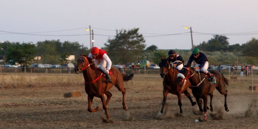 Polaca, utrke konja Oluja 95 Polaca, utrke konja Oluja 95