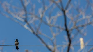 Sunčana nedjelja na zadarskim ulicama