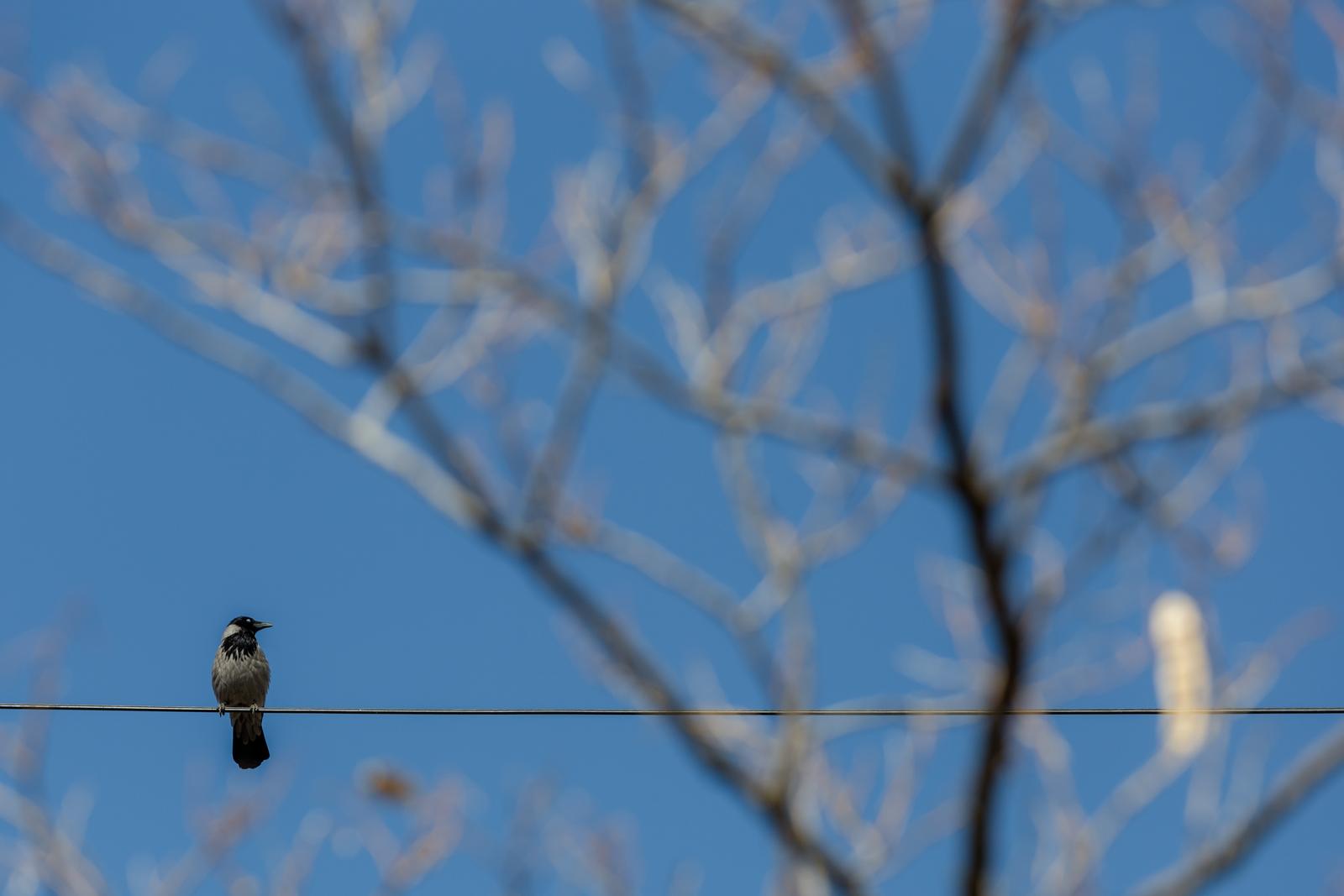 Sunčana nedjelja na zadarskim ulicama