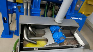 Put masline od stabla do djevicanskog ulja, Foto: Leo Banic Put masline od stabla do djevicanskog ulja, Foto: Leo Banic