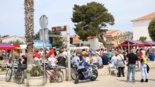 Velika prvosvibanjska fešta na Viru Velika prvosvibanjska fešta na Viru