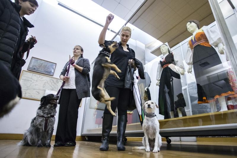 Kulturne šapice Kulturne šapice