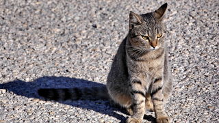 Bonaca ispod Paškog mosta i na otoku Pagu Bonaca ispod Paškog mosta i na otoku Pagu