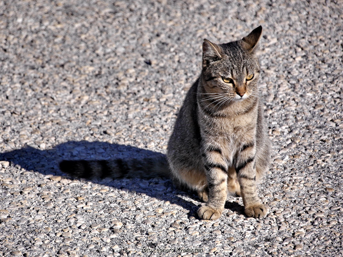 Bonaca ispod Paškog mosta i na otoku Pagu Bonaca ispod Paškog mosta i na otoku Pagu