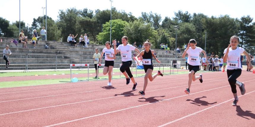 Erste plava liga Erste plava liga