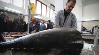 Đir po pešakariji 6. travnja 2012. (foto:Saša Čuka) Đir po pešakariji 6. travnja 2012. (foto:Saša Čuka)