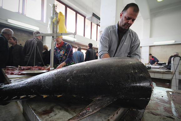 Đir po pešakariji 6. travnja 2012. (foto:Saša Čuka) Đir po pešakariji 6. travnja 2012. (foto:Saša Čuka)