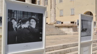 Izložba “Prijatelji mora” na pulskom Forumu, foto: Robi.B/hedonist385.com