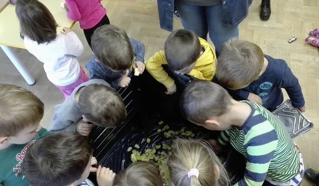 Zeleni vrtić, ciciban, djeca