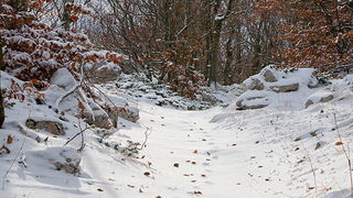 Đir do vrha Zečjak na sjevernom Velebitu, Foto: Leo Banić