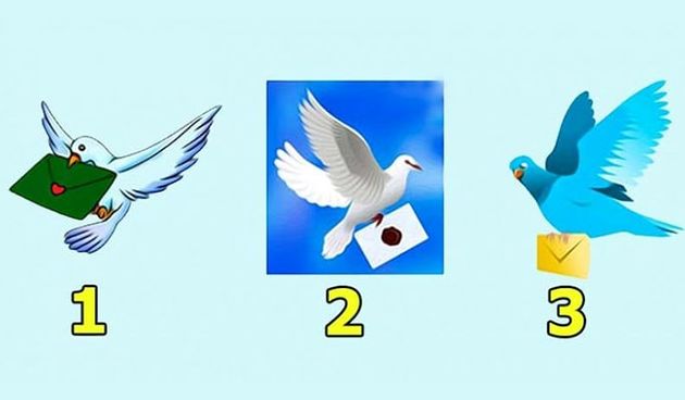 Zabavni test- golubovi
