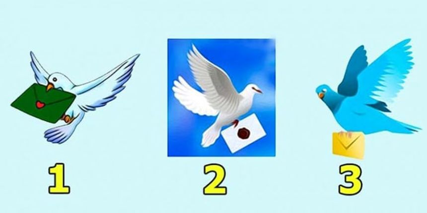 Zabavni test- golubovi