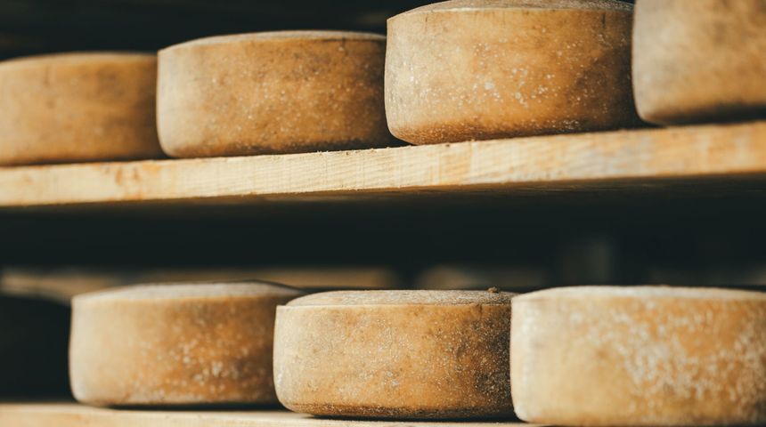 paški sir sirana paški sir sirana