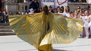 Đir po gradu 29. travnja 2017.