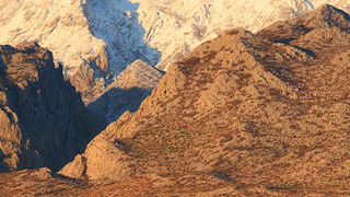 Vinjerac, Foto: Leo Banic