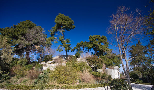 Đir zadarskim parkovima,27. veljače 2012. (foto:Saša Čuka)