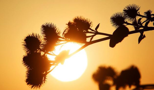 28.07.2013., Koprivnica – Rode su zalazak sunca docekale na javnoj rasvjeti u Koprivnickom Ivancu, a kraj dana je prekrasan i u okolici grada. Photo: Marijan Susenj/PIXSELL Autor  Marijan Susenj/PIXSELL KLJUČNE RIJEČI  zalazak sunca, nebo, boje, kraj da