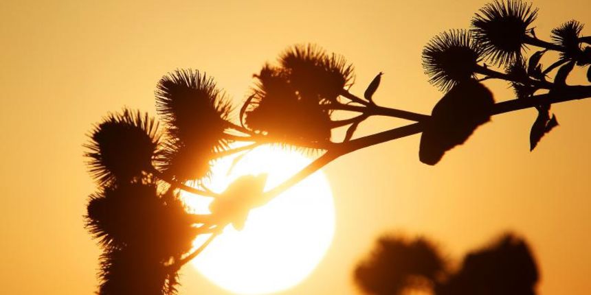 28.07.2013., Koprivnica – Rode su zalazak sunca docekale na javnoj rasvjeti u Koprivnickom Ivancu, a kraj dana je prekrasan i u okolici grada. Photo: Marijan Susenj/PIXSELL Autor  Marijan Susenj/PIXSELL KLJUČNE RIJEČI  zalazak sunca, nebo, boje, kraj da