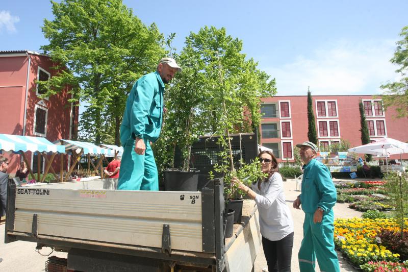 U Sv. Filip i Jakovu danas je otvoren 14. Festival cvijeća Zadarske županije, Foto: Dino Stanin/PIXSELL