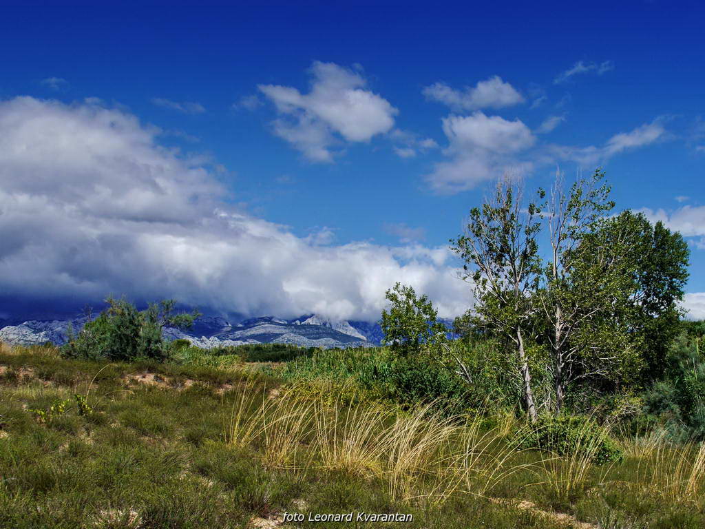 Sličice s Paga i Tulovih greda