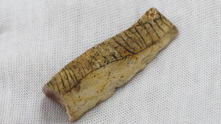 Zadar, 230610.
Na arheoloskom nalazistu u pecini Vlakno na Dugom otoku izmedju ostalih nakitnih predmeta pronadjen je i predmet ukrasen nizom kratkih paralelnih i dva vodoravna ureza za koje se sumnja da su umjetno izradjeni. Star oko 15 000 godina moze Zadar, 230610.
Na arheoloskom nalazistu u pecini Vlakno na Dugom otoku izmedju ostalih nakitnih predmeta pronadjen je i predmet ukrasen nizom kratkih paralelnih i dva vodoravna ureza za koje se sumnja da su umjetno izradjeni. Star oko 15 000 godina moze