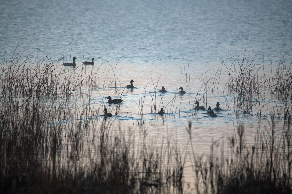 Čarobno jutro na Vranskom jezeru Čarobno jutro na Vranskom jezeru