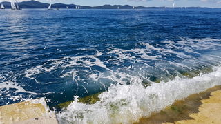 Zadarska Koka 2016. 22. listopada 2016. Foto: Mladen Malik Zadarska Koka 2016. 22. listopada 2016. Foto: Mladen Malik