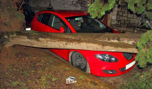 Bura srušila stabla, foto:Robert Lerga